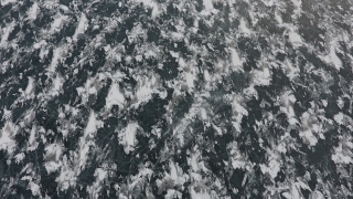 Buzla kaplanan Kars Barajı görsel şölen sunuyor